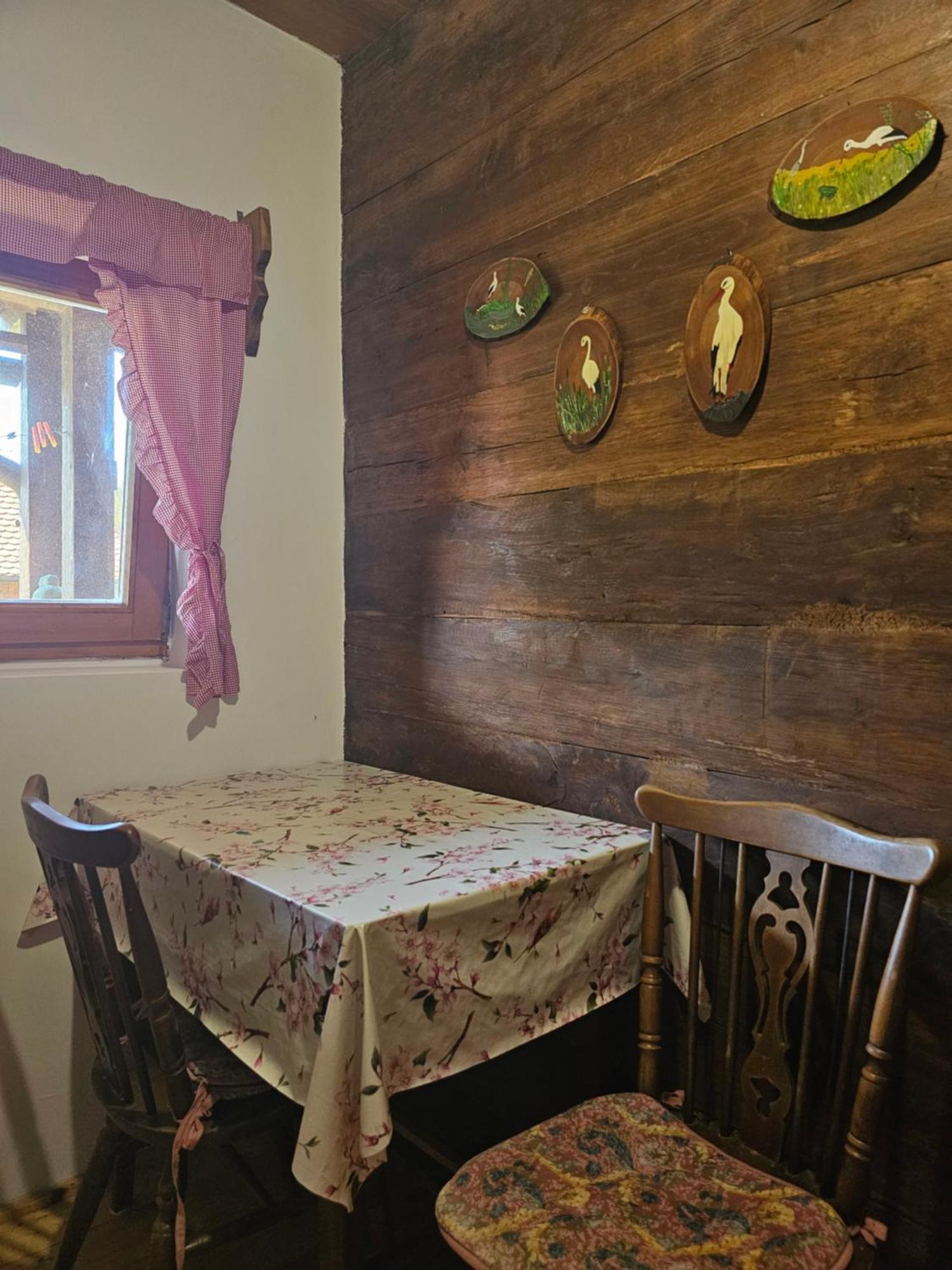 Apartments Kuvarna Čigoč 외부 사진